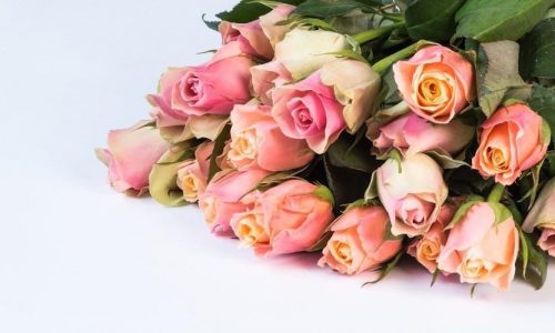 mothers day gift guide